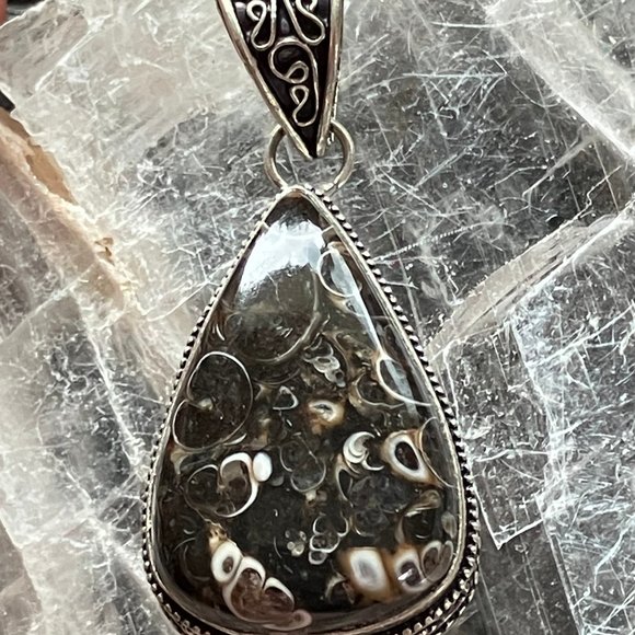 Turitella Fossiliferous Elimia Agate Crystal Stone Jewelry Pendant - Picture 3 of 8